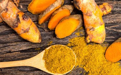 Curcuma Açafrão da Terra Tempero, condimento e medicinal
