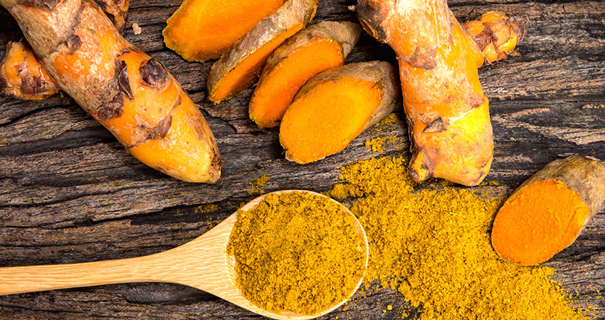 Curcuma Açafrão da Terra Tempero, condimento e medicinal