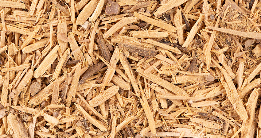 Marapuama Chá Planta Medicinal